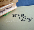Stempel - It`s a Boy - Project Prezent